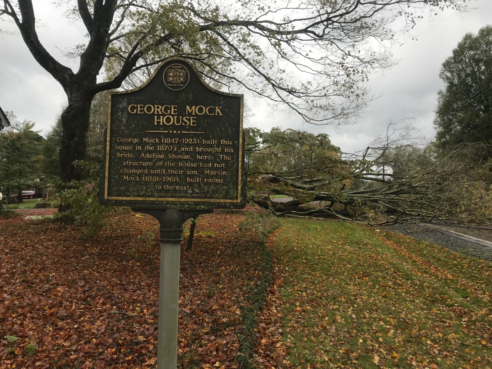 Downed tree, 5700 block of Shallowford Road